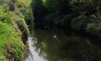 Flood hide and territorial resilience