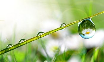 Gruppo CAP presents its sustainability report