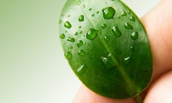 Gruppo CAP presents its new sustainability plan. Water first of all