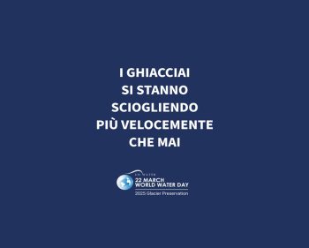 card-background