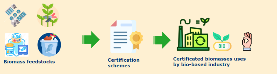 Biomass feedstock, CErification schemes, certificated biomasses uses by bio-based industry