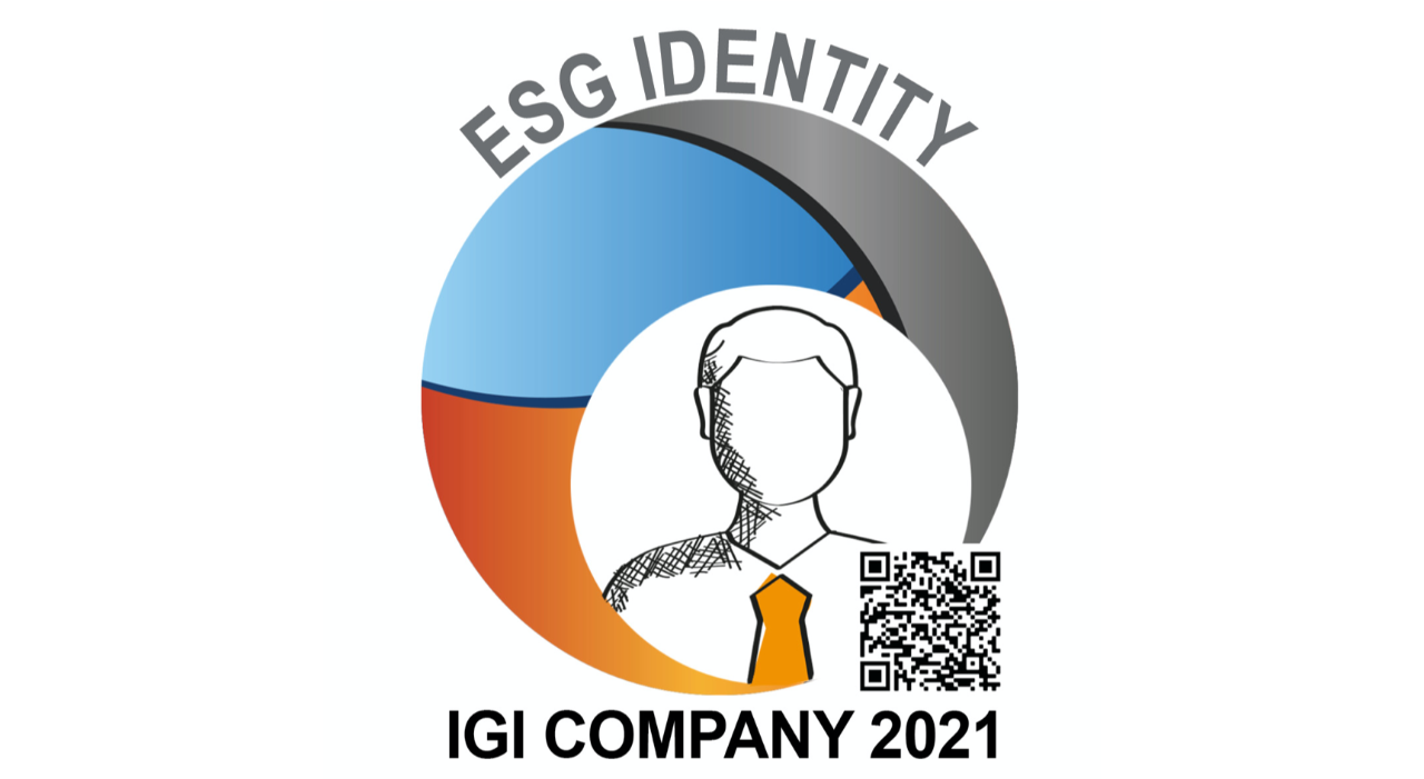 igi company 2021